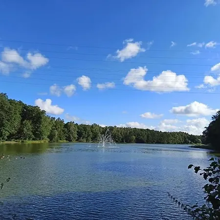 *dana Goscinne 招待所 格但斯克