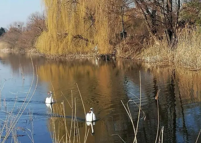 *dana Goscinne * Gdansk