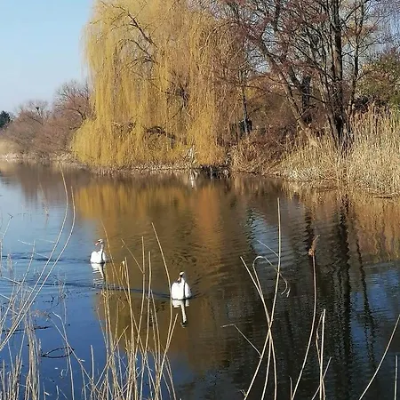 *dana Goscinne * Γκντανσκ